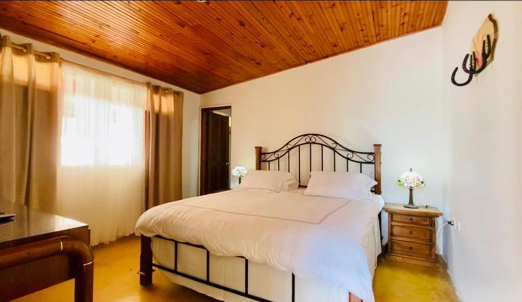 Finca Hotel El Laurel - Parque Del Cafe Montenegro Dış mekan fotoğraf