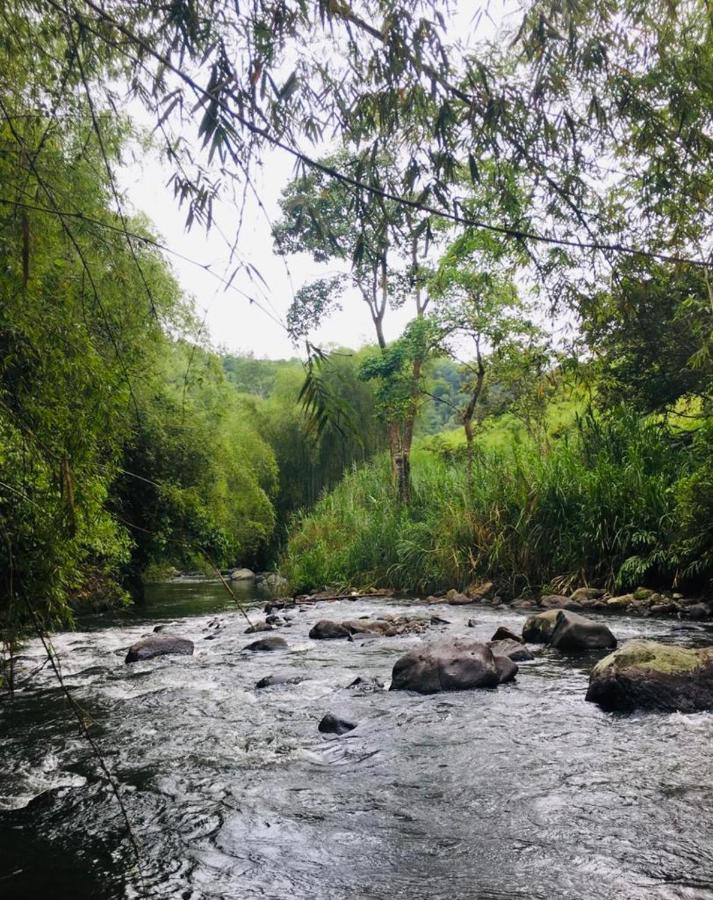 Finca Hotel El Laurel - Parque Del Cafe Montenegro Dış mekan fotoğraf